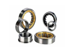 NF Cylindrical Roller Bearing